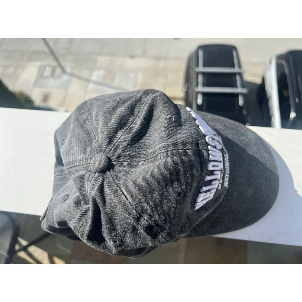 Lucky 7 Yellowstone National Park gray embroidered dad cap gorpcore outdoor